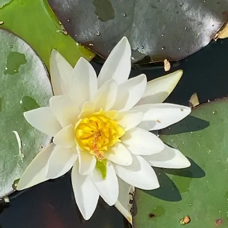 2 Personnes Avec Sejour Et Cuisine * Douzy