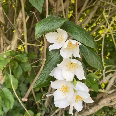 2 Personnes Avec Sejour Et Cuisine בית נופש Douzy