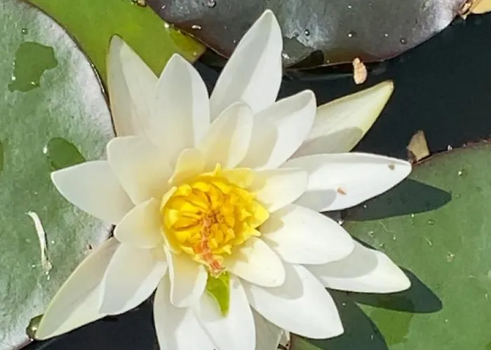 2 Personnes Avec Et Cuisine * Douzy