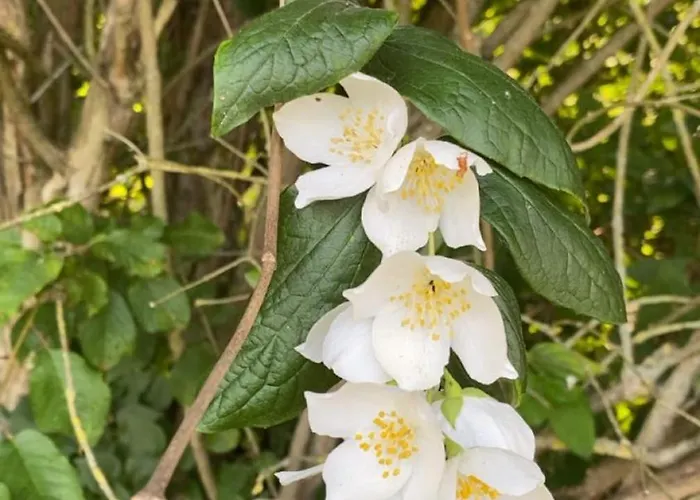 2 Personnes Avec Et Cuisine Hébergement de vacances Douzy